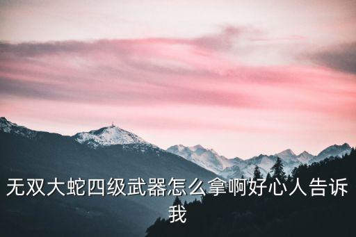 无双大蛇四级武器怎么拿啊好心人告诉我