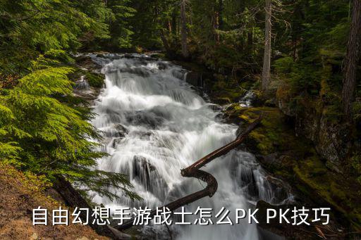 自由幻想手游战士怎么PK PK技巧