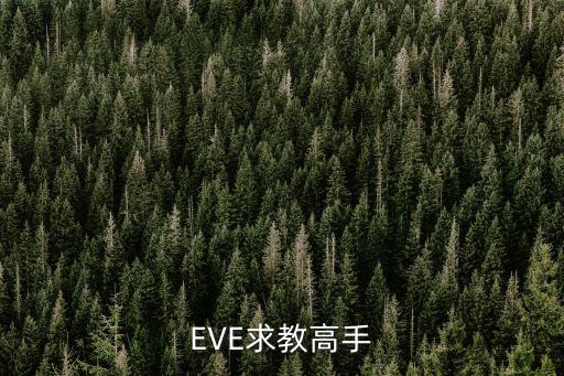 EVE求教高手