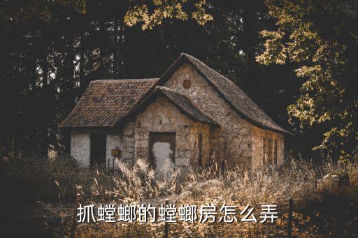 抓螳螂的螳螂房怎么弄