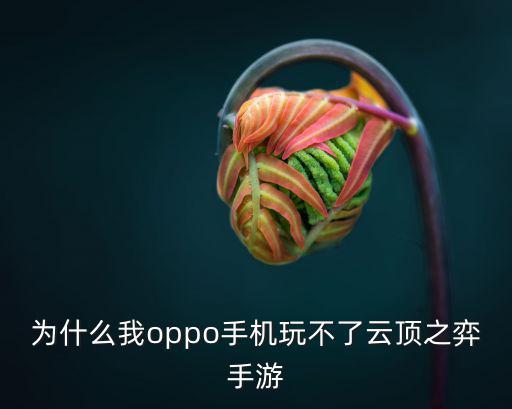 为什么我oppo手机玩不了云顶之弈手游