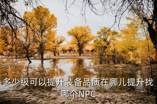 多少级可以提升装备品质在哪儿提升找哪个NPC