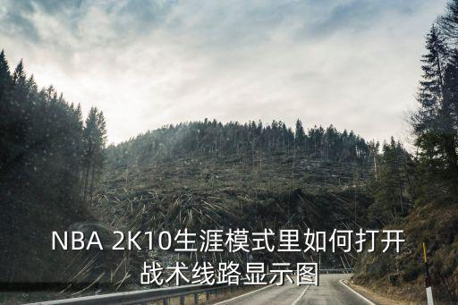 nba2k22手游怎么设置战术路线，NBA 2K10生涯模式里如何打开战术线路显示图