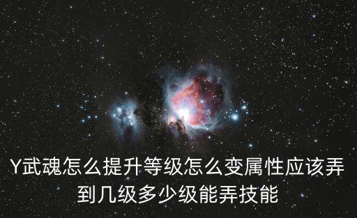 Y武魂怎么提升等级怎么变属性应该弄到几级多少级能弄技能