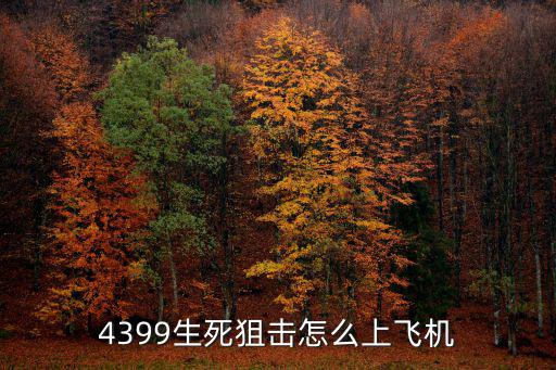 生死狙击手游怎么飞过去的，4399生死狙击怎么上飞机