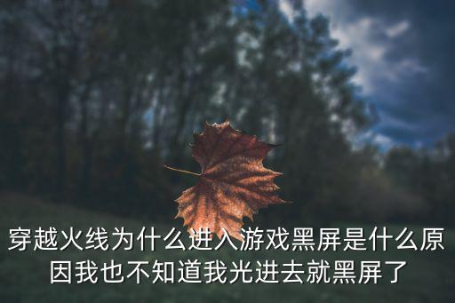 cf手游越南服黑屏是怎么回事，我玩CF进游戏黑屏怎么回事