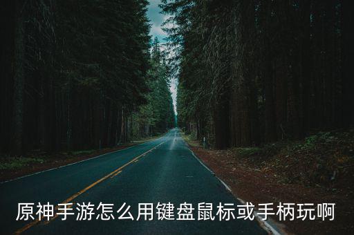 手游原神琴怎么弹，原神手游怎么用键盘鼠标或手柄玩啊