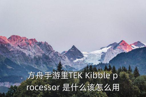 方舟手游里TEK Kibble processor 是什么该怎么用