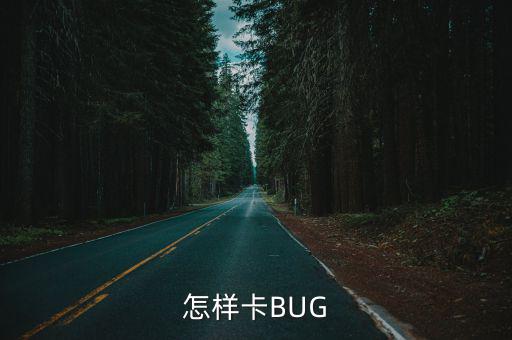 怎样卡BUG