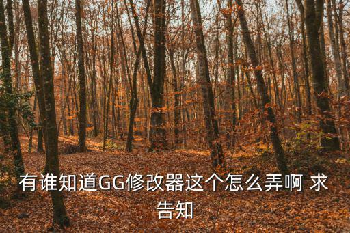 有谁知道GG修改器这个怎么弄啊 求告知