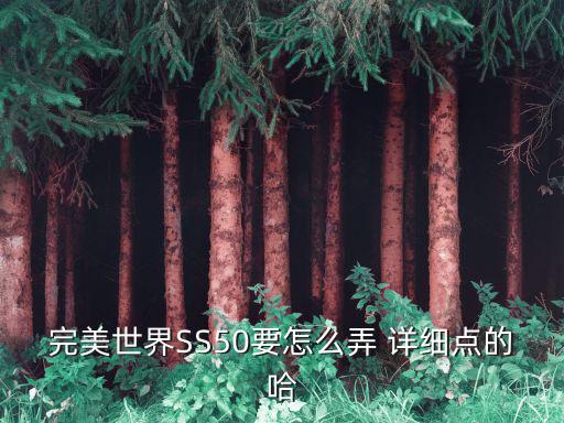 完美世界SS50要怎么弄 详细点的哈