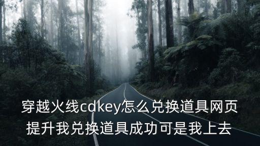 穿越火线cdkey怎么兑换道具网页提升我兑换道具成功可是我上去