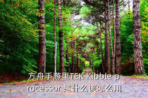 方舟手游无敌代码怎么用，方舟手游里TEK Kibble processor 是什么该怎么用