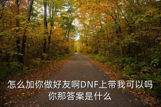 怎么加你做好友啊DNF上带我可以吗你那答案是什么