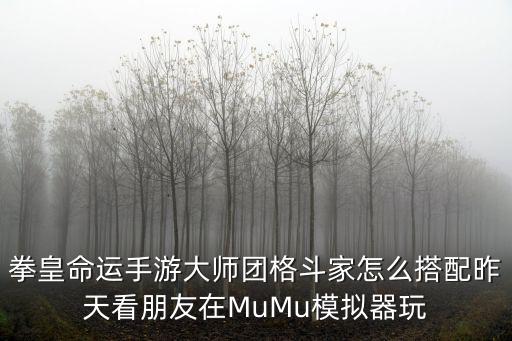 拳皇命运手游大师团格斗家怎么搭配昨天看朋友在MuMu模拟器玩