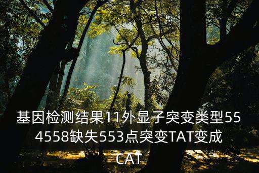 基因检测结果11外显子突变类型554558缺失553点突变TAT变成CAT