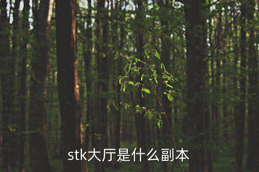 stk大厅是什么副本