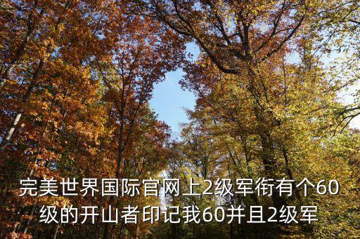 完美世界国际官网上2级军衔有个60级的开山者印记我60并且2级军