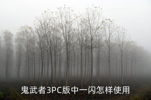 lol手游一闪怎么用，我玩英雄联盟屏幕老是一闪一闪的该怎么办