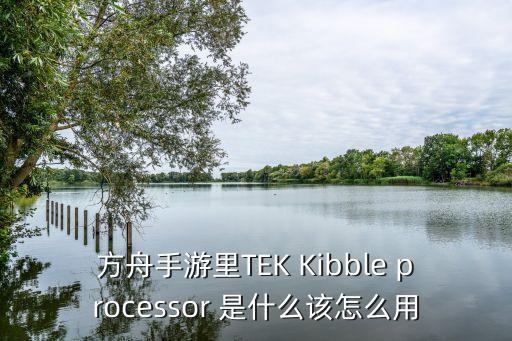 方舟手游里TEK Kibble processor 是什么该怎么用