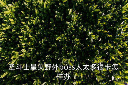 圣斗士星矢野外boss人太多很卡怎样办