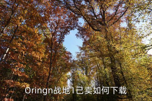 Oringn战地1已卖如何下载