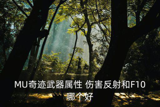 奇迹手游太刀怎么样，MU奇迹武器属性 伤害反射和F10哪个好