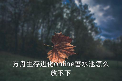 方舟生存进化online蓄水池怎么放不下