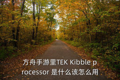 方舟手游里TEK Kibble processor 是什么该怎么用