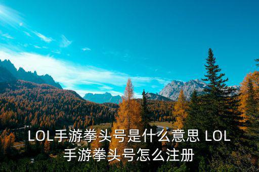 LOL手游拳头号是什么意思 LOL手游拳头号怎么注册