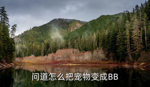 问道怎么把宠物变成BB