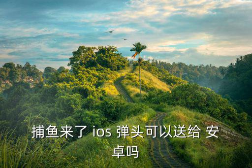 捕鱼来了 ios 弹头可以送给 安卓吗