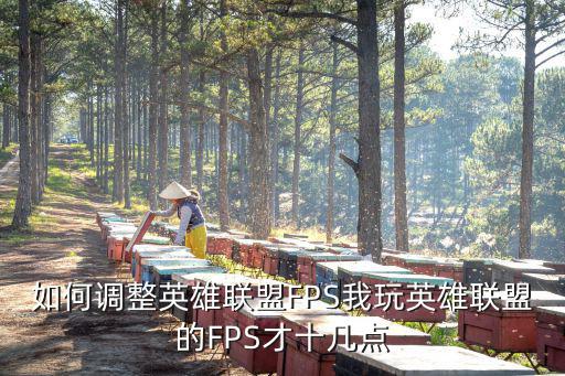 如何调整英雄联盟FPS我玩英雄联盟的FPS才十几点