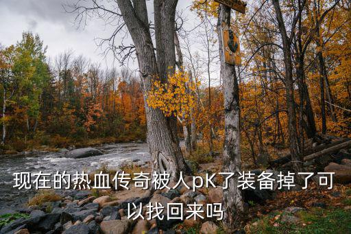 传奇手游被pk怎么办，在真传奇游戏里面我杀人红名怎么样才能洗掉PK值呢