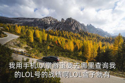 我用手机lol掌游宝要去哪里查询我的LOL号的战绩啊LOL盒子就有