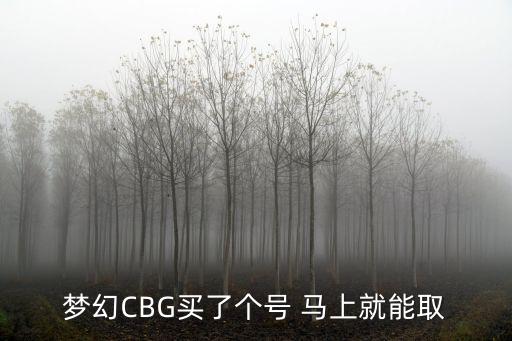 梦幻CBG买了个号 马上就能取