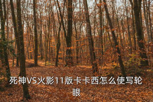 死神VS火影11版卡卡西怎么使写轮眼