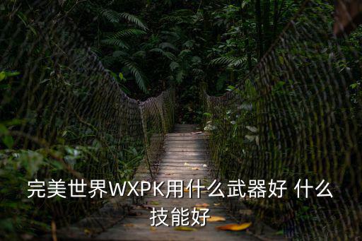 完美世界WXPK用什么武器好 什么技能好