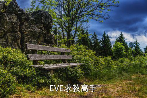 EVE求教高手