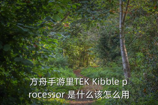 方舟手游里TEK Kibble processor 是什么该怎么用