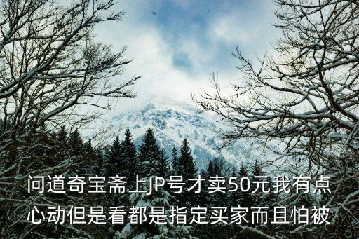 问道奇宝斋上JP号才卖50元我有点心动但是看都是指定买家而且怕被