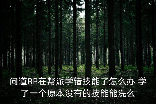 问道BB在帮派学错技能了怎么办 学了一个原本没有的技能能洗么