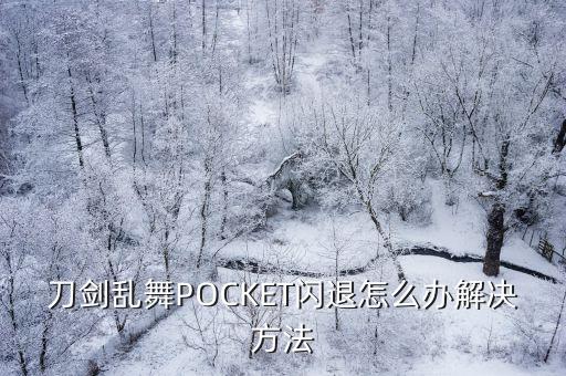 刀剑乱舞POCKET闪退怎么办解决方法