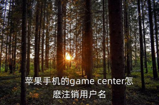 苹果手机的game center怎麽注销用户名