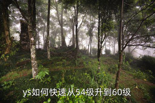 问道手游54级怎么快速升到60，54级如何快速升到60