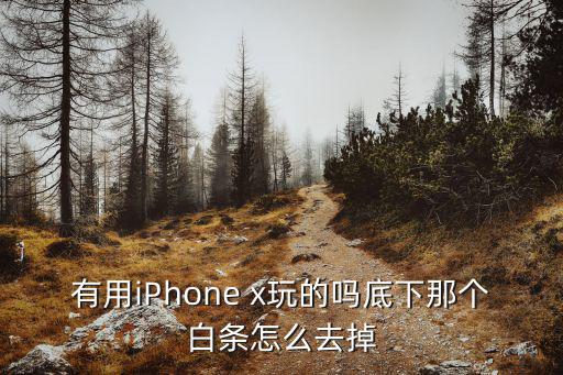 有用iPhone x玩的吗底下那个白条怎么去掉