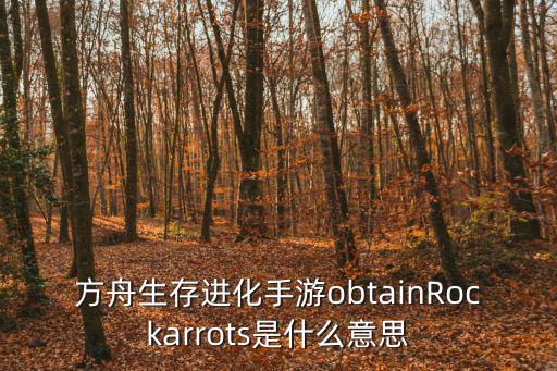 方舟生存进化手游obtainRockarrots是什么意思