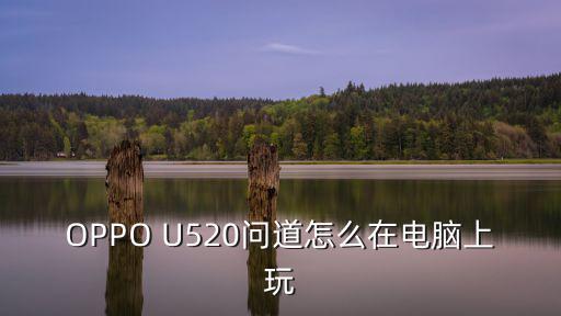 OPPO U520问道怎么在电脑上玩