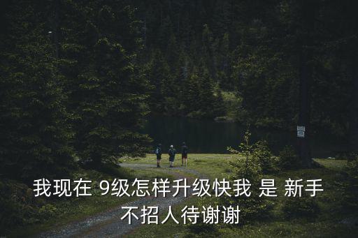 我现在 9级怎样升级快我 是 新手 不招人待谢谢