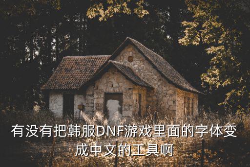 有没有把韩服DNF游戏里面的字体变成中文的工具啊